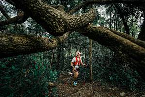 BIB: 
                            <button type="button" onclick="openModal(25708369)" class="btn btn-primary btn-sm float-right btn-popup" data-toggle="modal" data-target=".modal-high-quality">
                        <i class="fas fa-shopping-cart"></i> Add to Cart
                    </button>
                                            <button type="button" onclick="isThisMe(25708369, true)" class="btn btn-success btn-sm float-right btn-popup btn-isme hidden" data-toggle="tooltip" data-placement="bottom" title="นี่คือรูปของคุณใช่ไหม คลิกที่นี่เพื่อเอาเข้าอัลบั้ม">
                        <i class="fas fa-plus"></i> Add to album
                    </button>
                    <button type="button" onclick="isThisMe(25708369, false)" class="btn btn-warning btn-sm float-right btn-popup btn-isnotme hidden">
                        <i class="fas fa-ban"></i> Remove from album
                    </button>